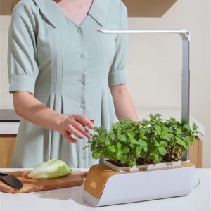 Self-Watering Indoor Herb Garden Kit with Grow Light - view 7