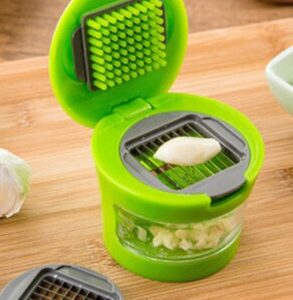 Mini Garlic Chopper with Storage Container