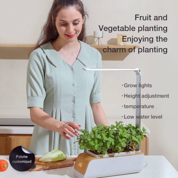 Self-Watering Indoor Herb Garden Kit with Grow Light